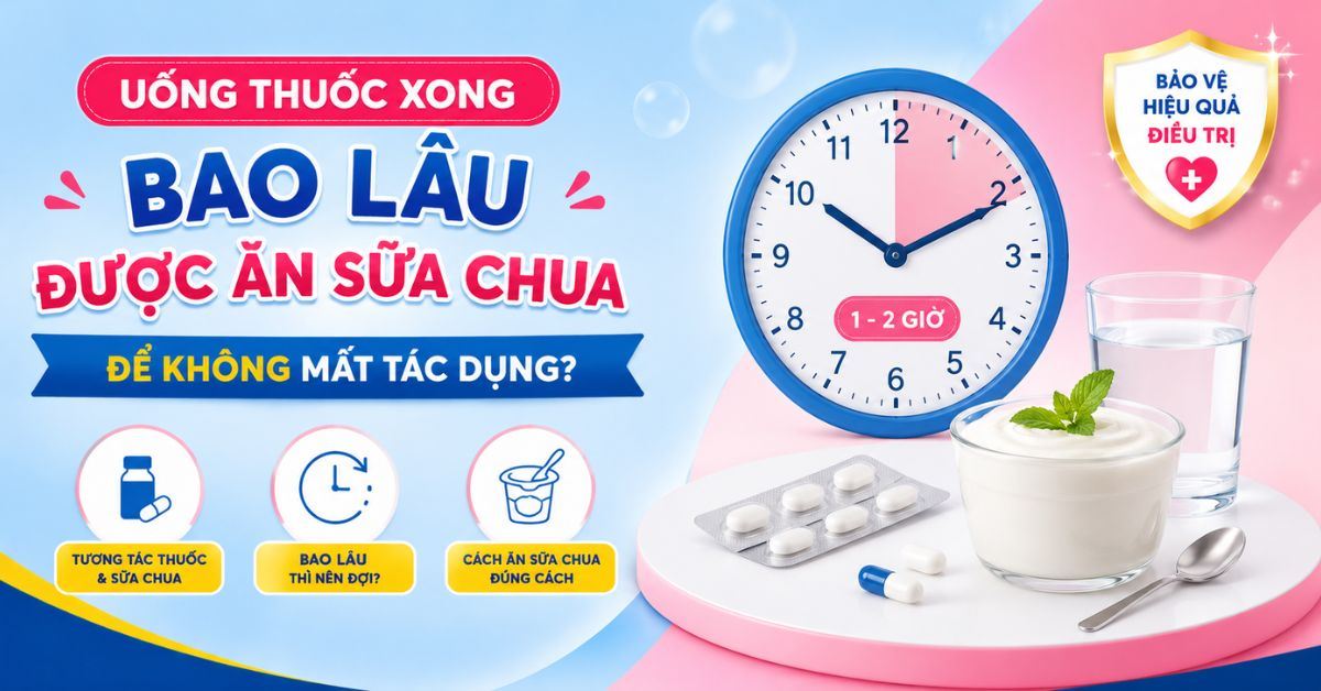 Uống thuốc xong bao lâu được ăn sữa chua để không mất tác dụng?