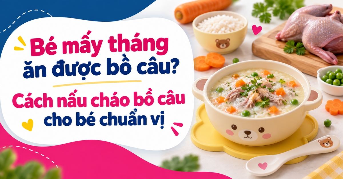 Bé mấy tháng ăn được bồ câu? Cách nấu cháo bồ câu cho bé chuẩn vị