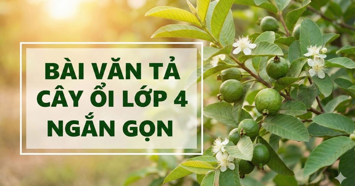 25 bài văn tả cây ổi lớp 4 ngắn gọn, chi tiết, điểm cao