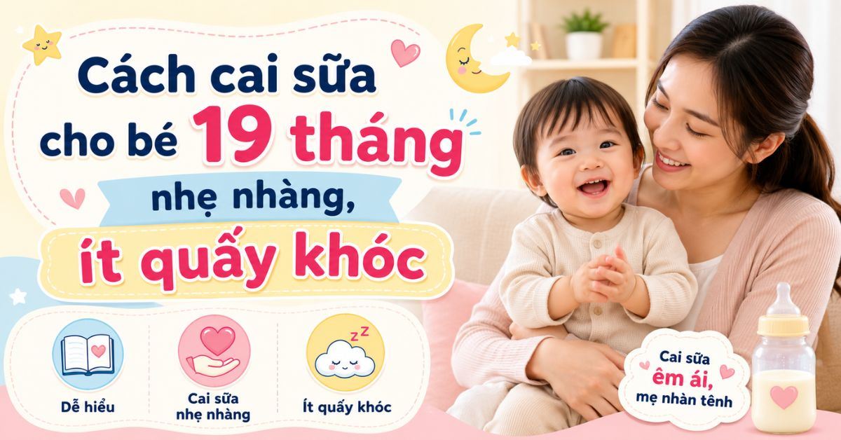 Cách cai sữa cho bé 19 tháng nhẹ nhàng, ít quấy khóc
