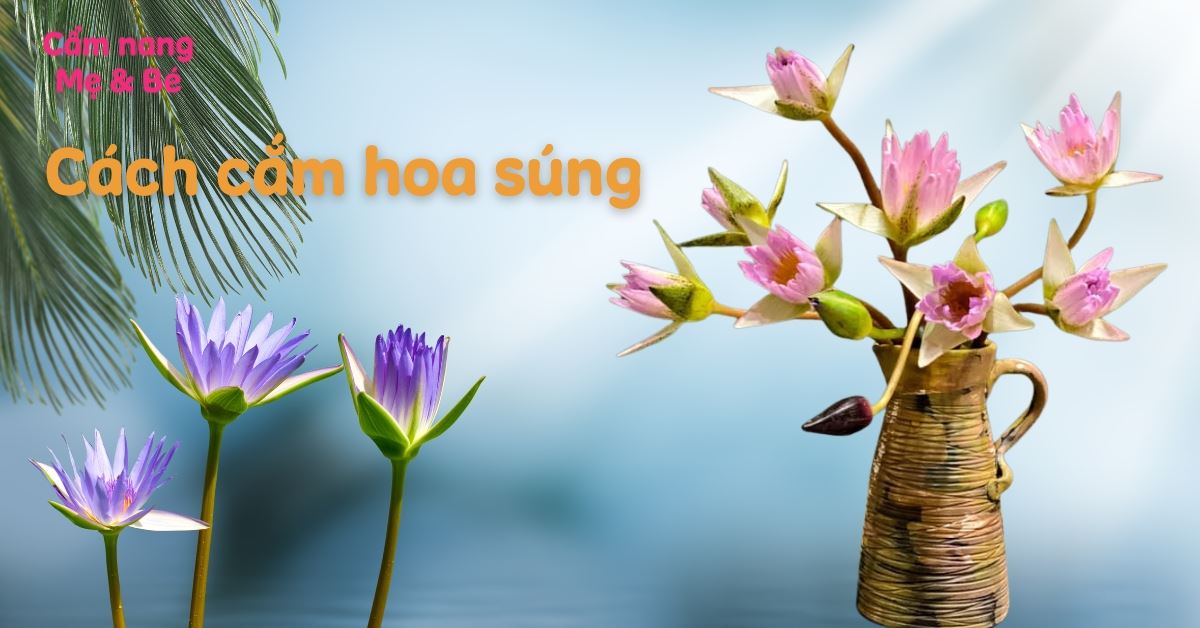 Cách cắm hoa súng đẹp, tươi lâu đơn giản tại nhà
