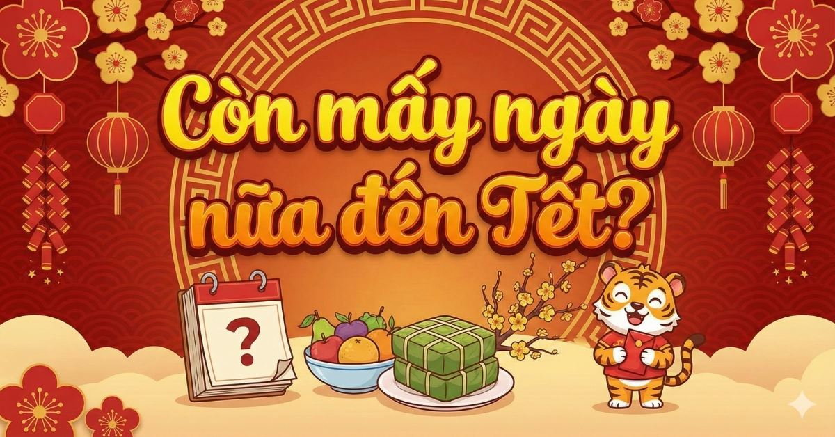 Còn bao nhiêu ngày nữa đến Tết 2026? Tết 2026 được nghỉ mấy ngày?