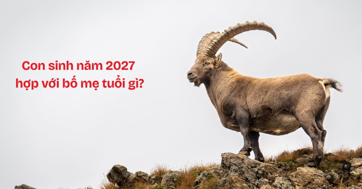 Con sinh năm 2027 hợp với bố mẹ tuổi gì? Tháng nào tốt?