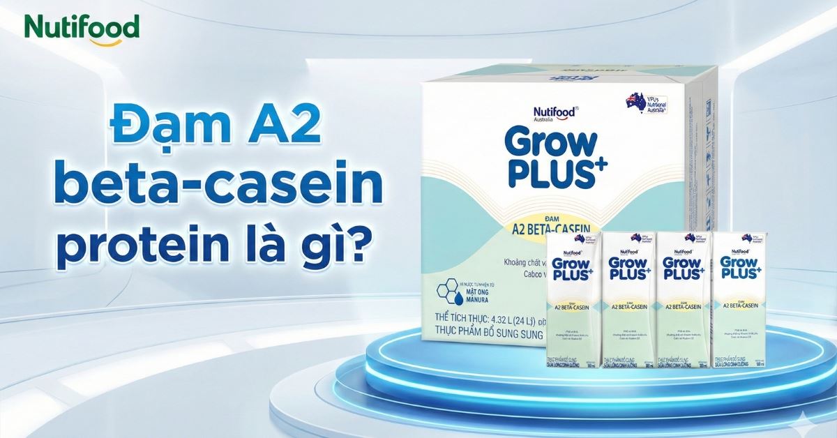 Đạm A2 beta-casein protein là gì? Khám phá bước tiến hỗ trợ tiêu hóa cho trẻ trong sữa GrowPLUS+ A2
