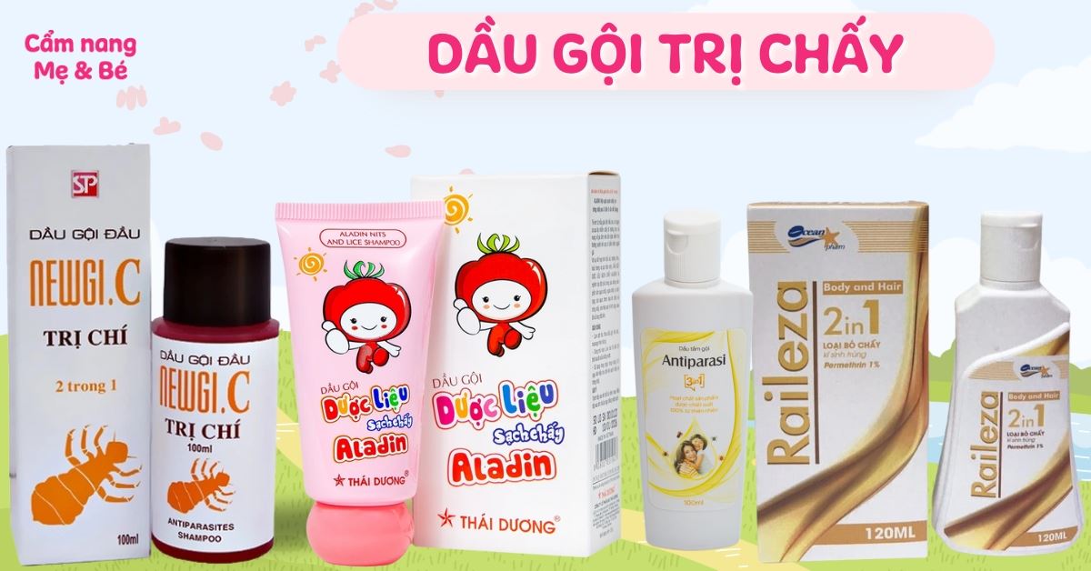 Top 7 dầu gội trị chấy an toàn, hiệu quả cho bé và người lớn tốt nhất