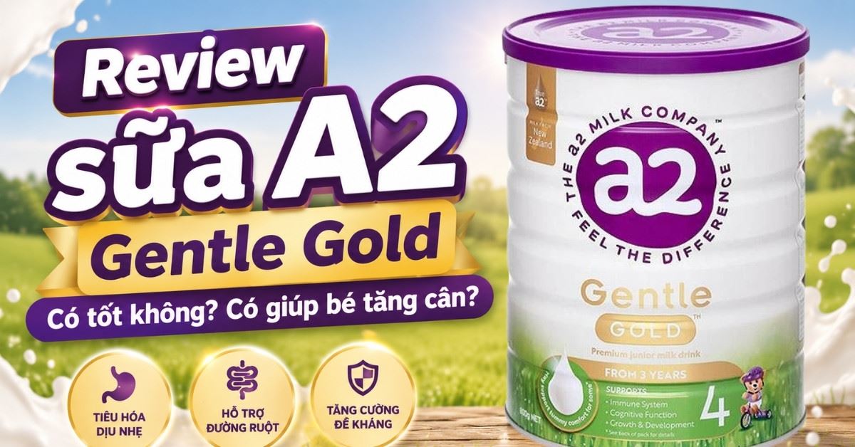 Review sữa A2 Gentle Gold có tốt không? Chi tiết công dụng, thành phần sữa
