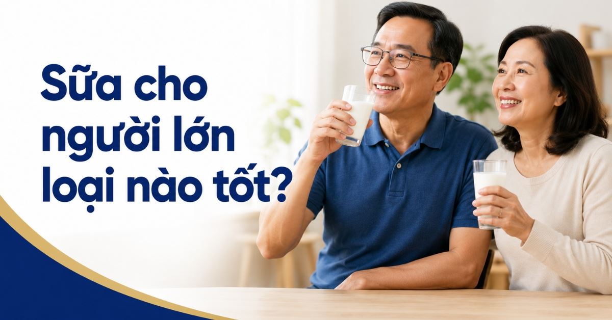 Sữa cho người lớn loại nào tốt? So sánh các dòng sữa theo từng nhu cầu sức khoẻ