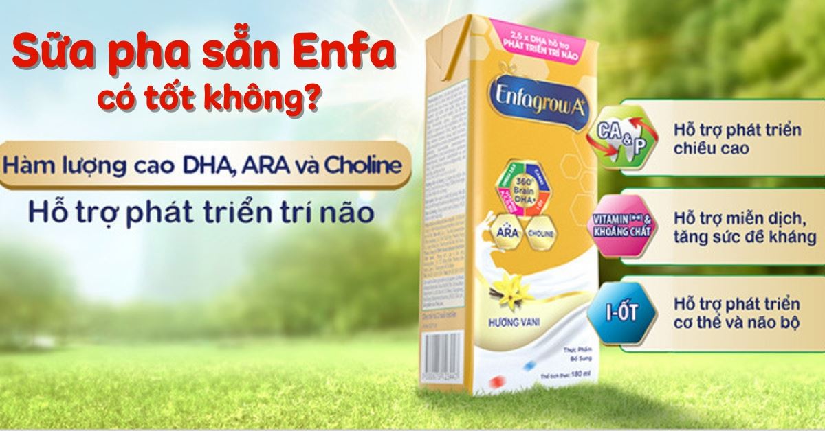 Sữa pha sẵn Enfa có tốt không? Đánh giá chi tiết từ A-Z