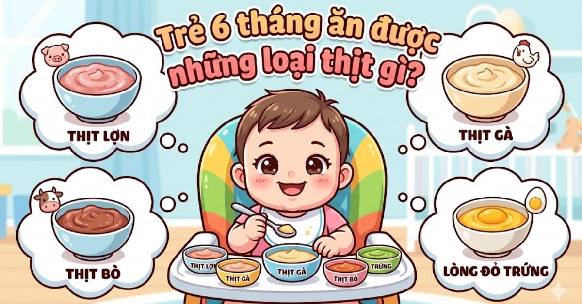 Trẻ 6 tháng ăn được những loại thịt gì? Cẩm nang dinh dưỡng từ chuyên gia ăn dặm