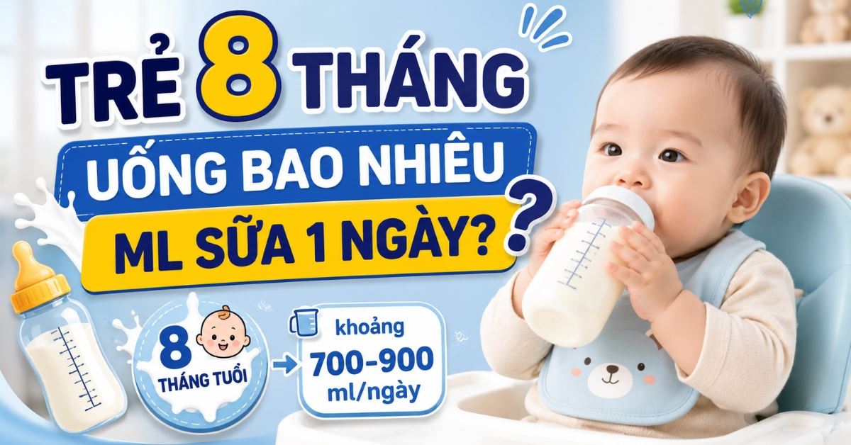 Trẻ 8 tháng uống bao nhiêu ml sữa 1 ngày? Cách tính lượng sữa đúng nhất