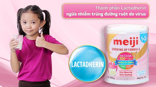 Lactadherin