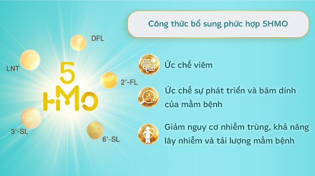 5HMO