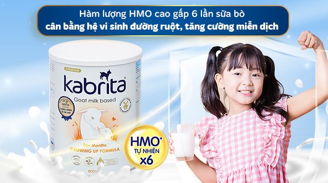 Hàm lượng HMO cao hơn sữa bò gấp 6 lần