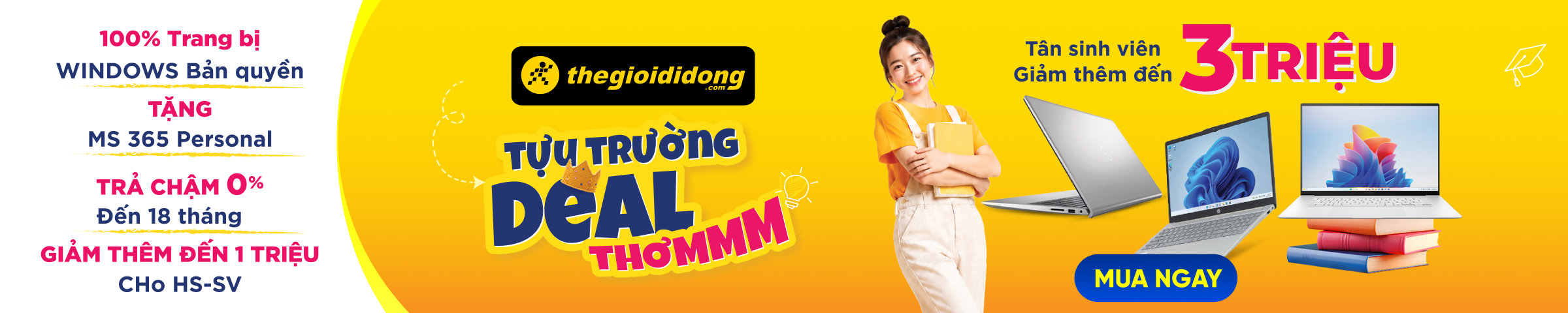 Banner Big