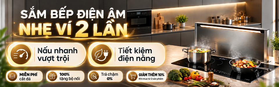 BẾP TỪ