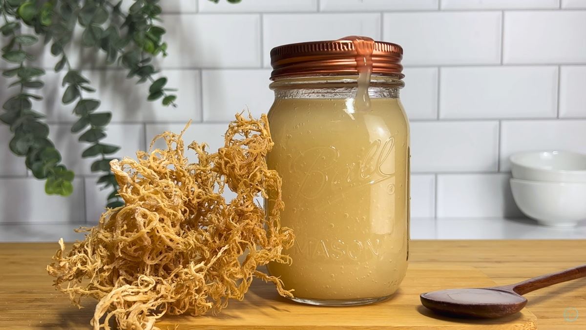 Cách làm sea moss gel