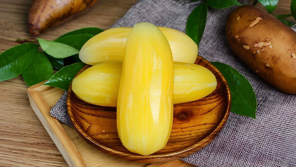 Củ sâm đất