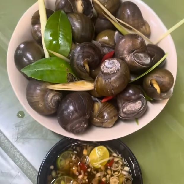 Cách luộc ốc mít ngon sạch thơm đơn giản đậm đà chuẩn vị tại nhà