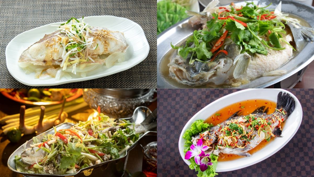 Bí quyết cách hấp cá ngon: 20+ cách làm cá hấp thơm lừng, dễ làm tại nhà