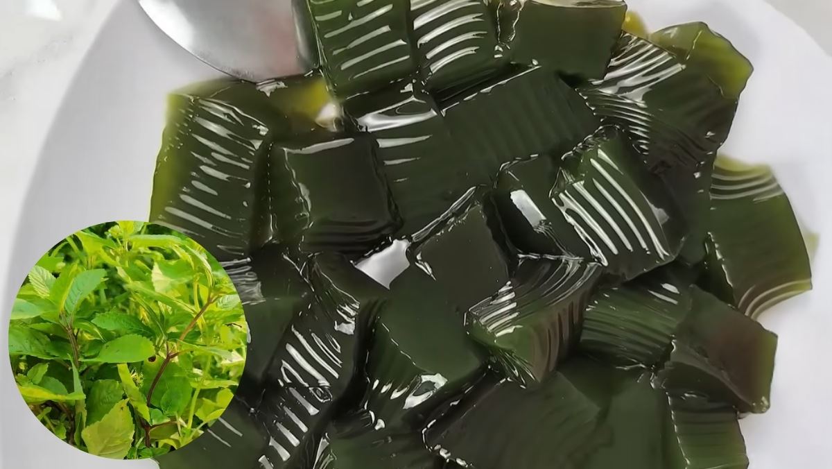 sương sáo từ lá tươi