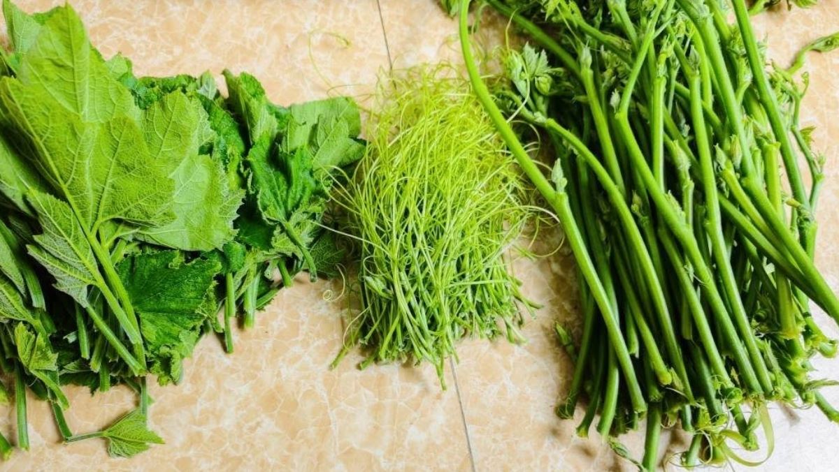 Cách nhặt rau bí