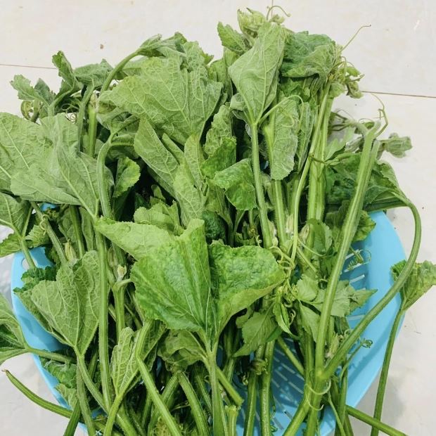 Cách nhặt rau bí đúng, đơn giản, sạch xơ để chế biến nhiều món ăn ngon