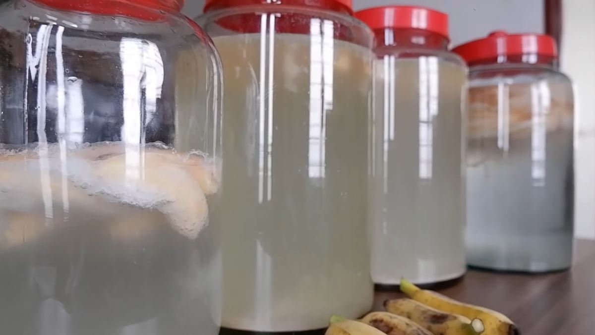 Cách làm giấm bằng chuối