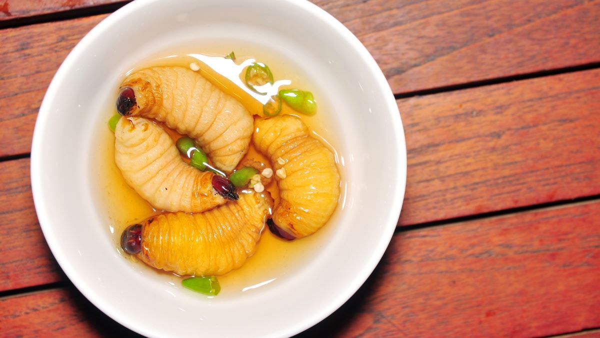 cách chế biến đuông dừa