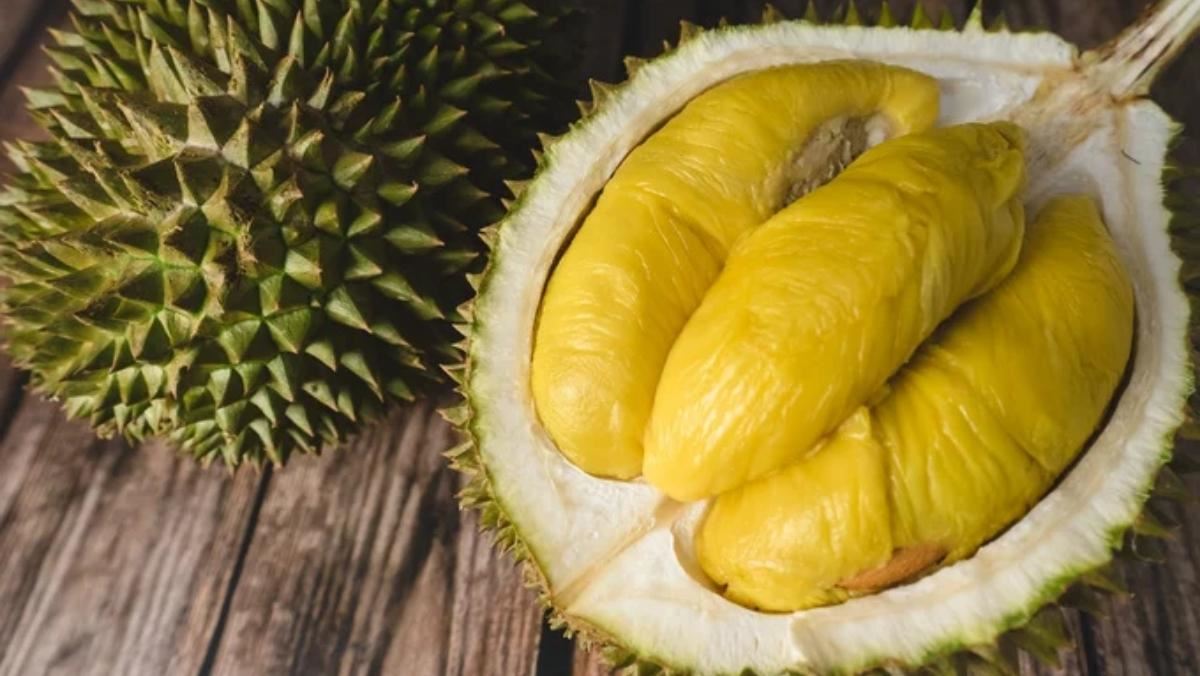 Sầu riêng musang king