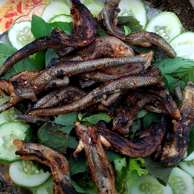 3 cách làm rắn mối nướng thơm ngon dân dã lạ miệng  đặc sản miền Tây