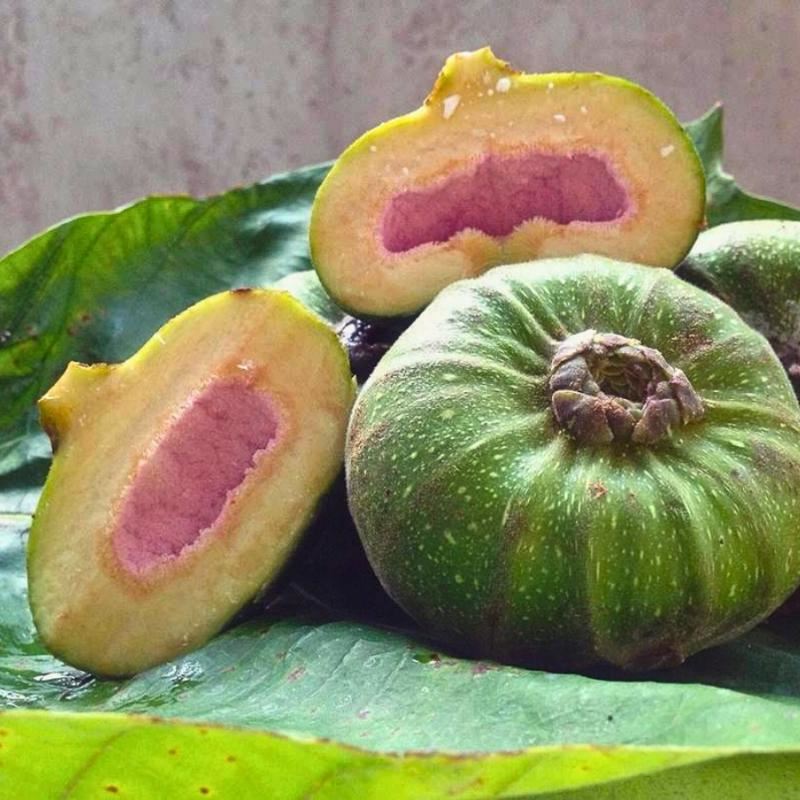 Trái vả