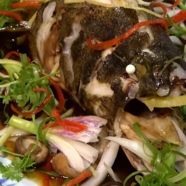 cá bống mú hấp hồng kông