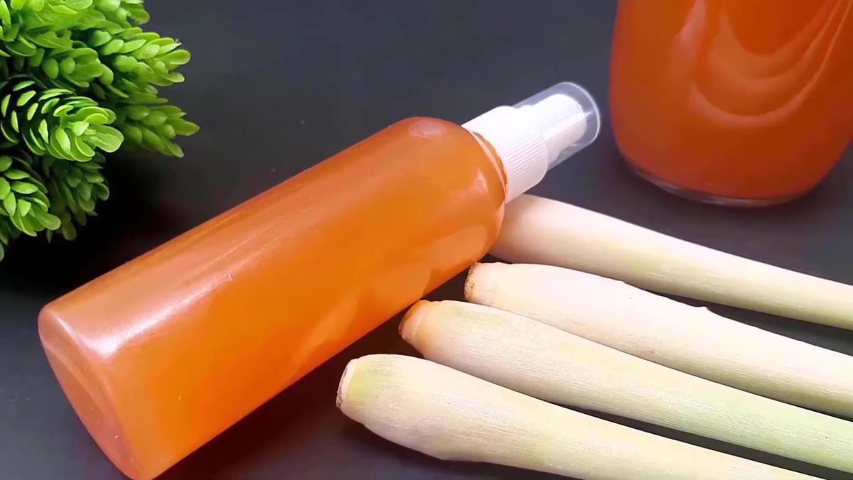 cách làm tinh dầu sả tại nhà