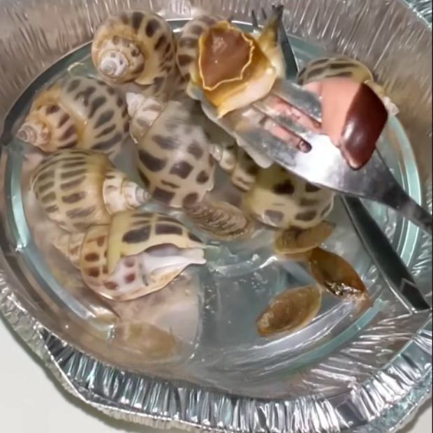 Cách nướng ốc hương bằng nồi chiên không dầu thơm ngọt đơn giản