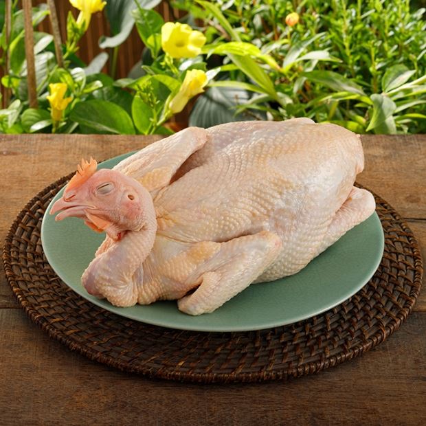 Mổ gà cúng đẹp