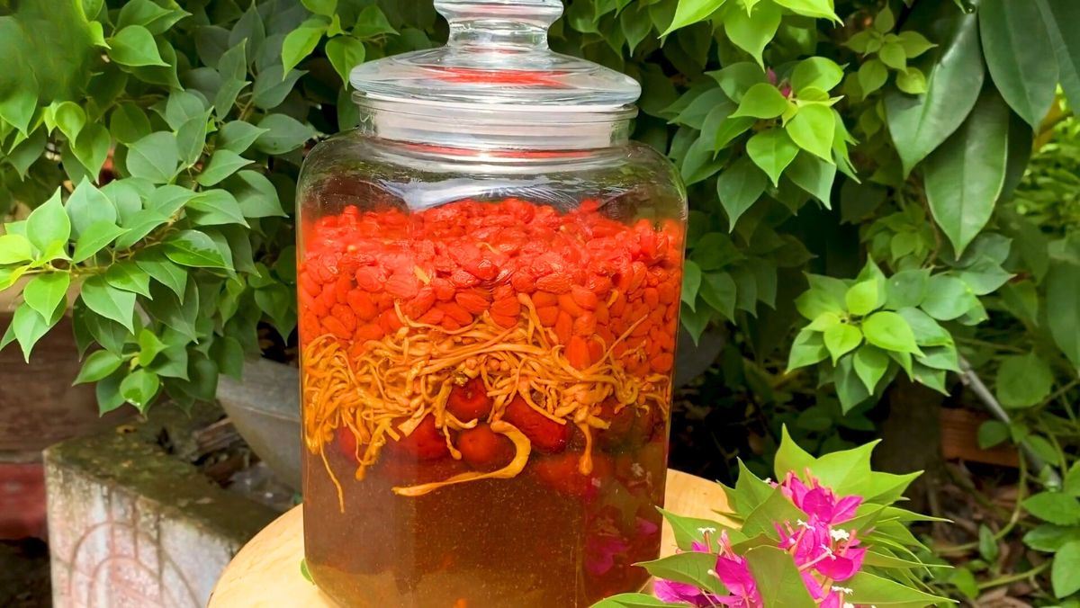 Kỷ tử ngâm rượu