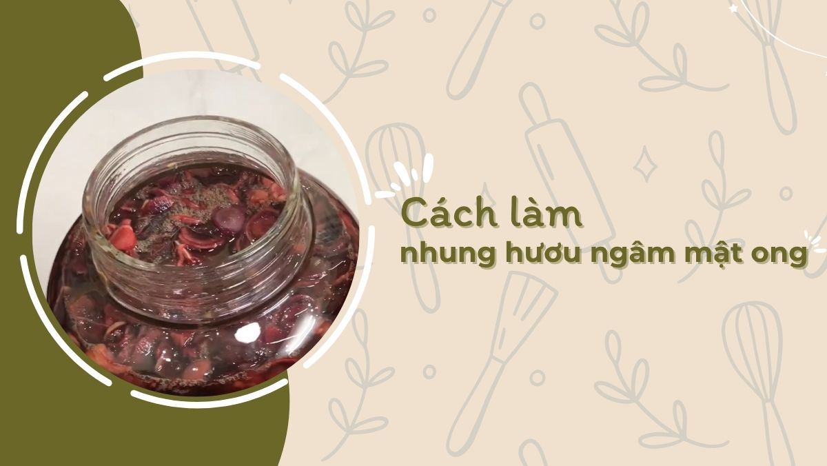 Nhung hươu ngâm mật ong