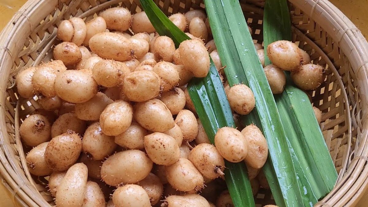 Cách luộc củ lùn
