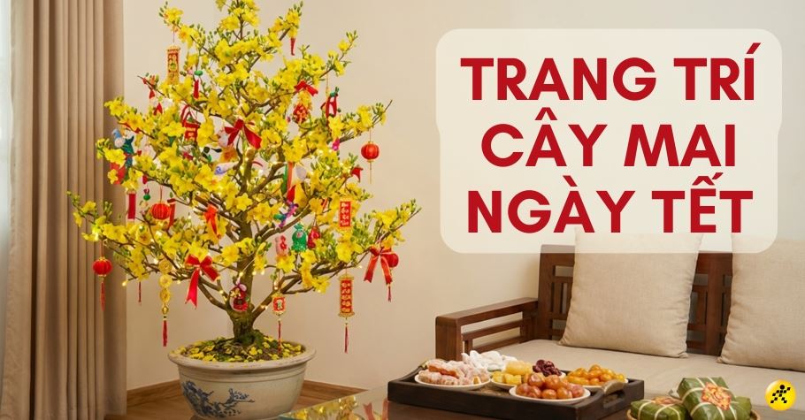 15+ cách trang trí cây mai ngày Tết đẹp, đơn giản, rước tài lộc 2026