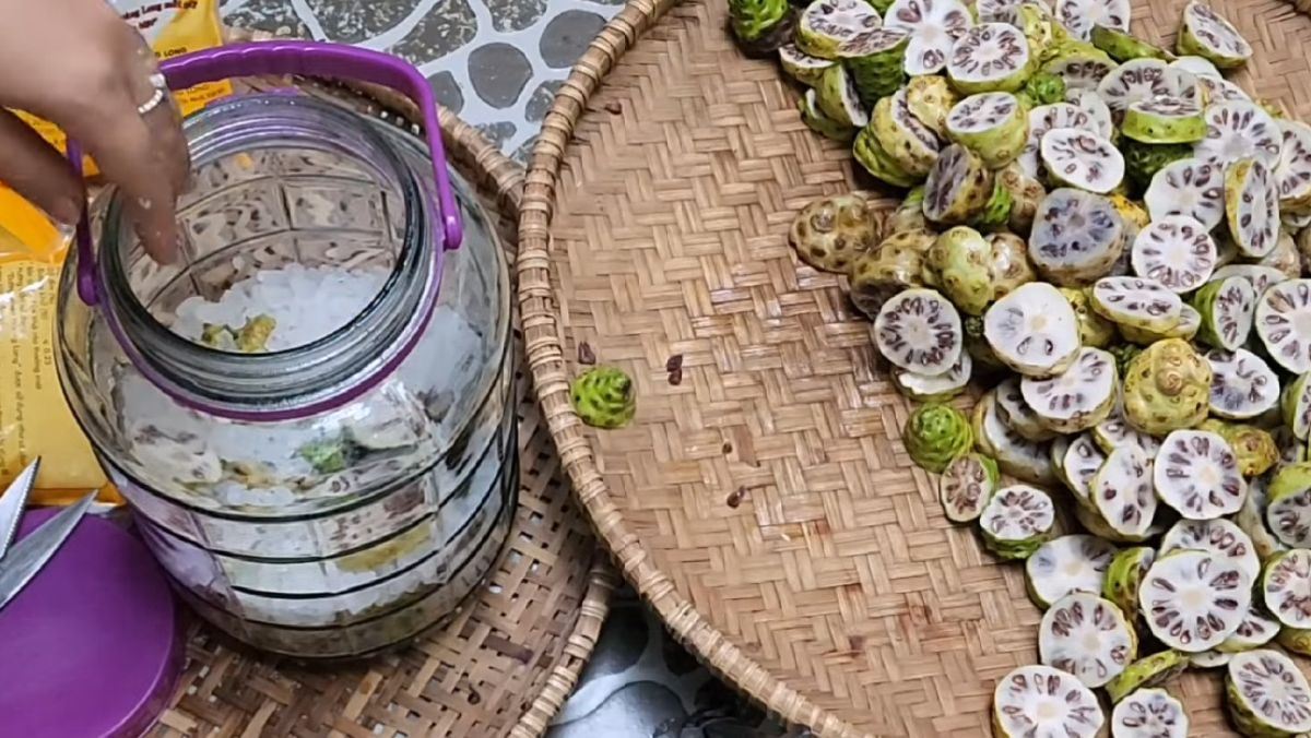 Trái nhàu ngâm đường phèn