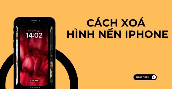 Cách xoá hình nền iPhone đơn giản, nhanh nhất cho iOS 16, 17, 18,..