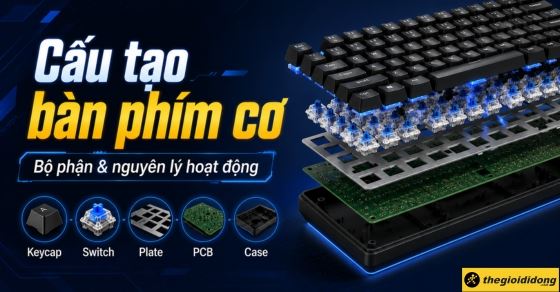 Cấu tạo bàn phím cơ gồm gì? Chi tiết từng bộ phận