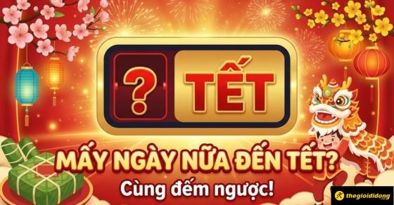 hoi-dap/con-may-ngay-nua-den-tet