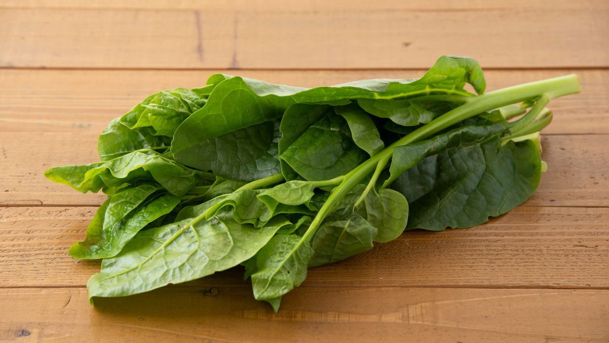 Cách nhặt rau mồng tơi