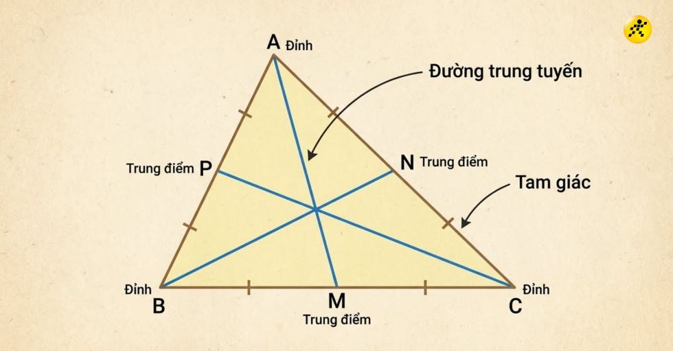 Đường trung tuyến là gì? Tính chất, công thức, các dạng bài tập