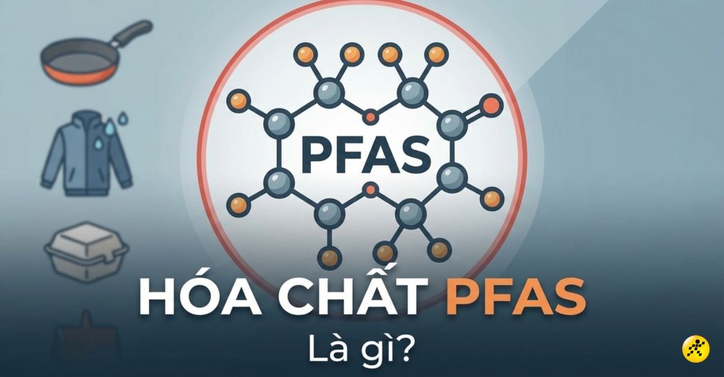 Hóa chất vĩnh cửu (PFAS) là gì? Có ở đâu? Tác hại, cách phòng tránh