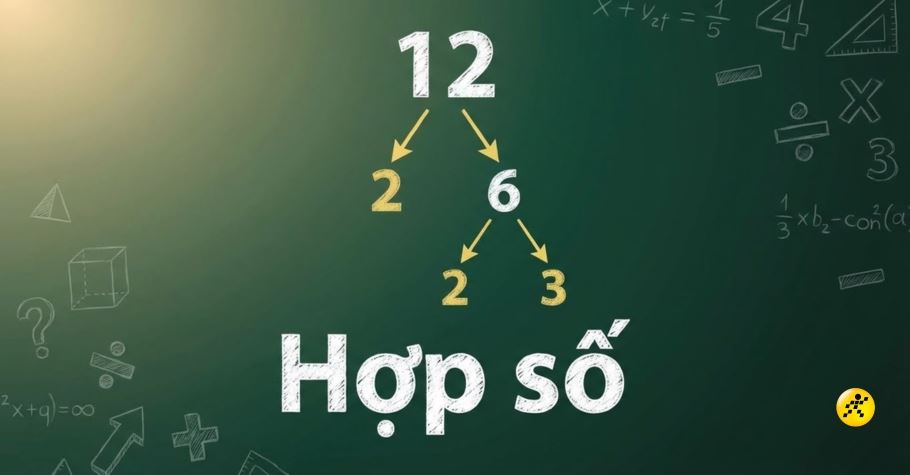 Hợp số là gì? Cách nhận biết và phân biệt với số nguyên tố