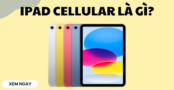 iPad Cellular là gì? Có tốt không? Nên mua iPad Wi-Fi hay Cellular?
