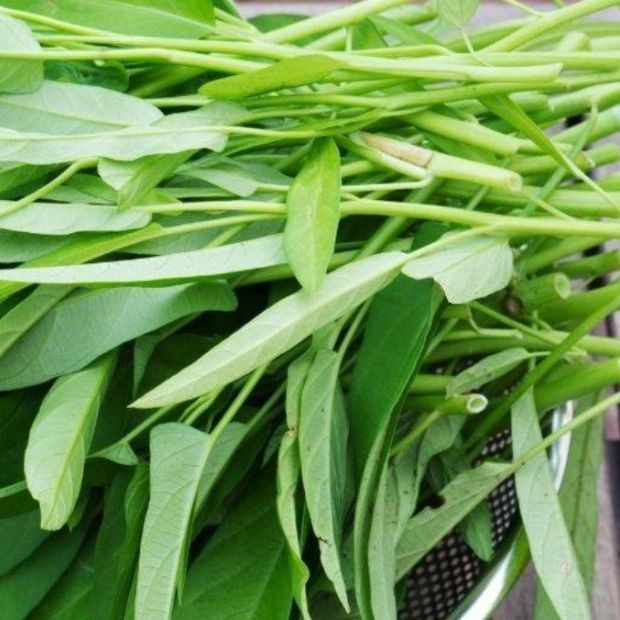 Cách nhặt rau muống để xào và ăn sống nhanh chuẩn làm bữa cơm thêm ngon