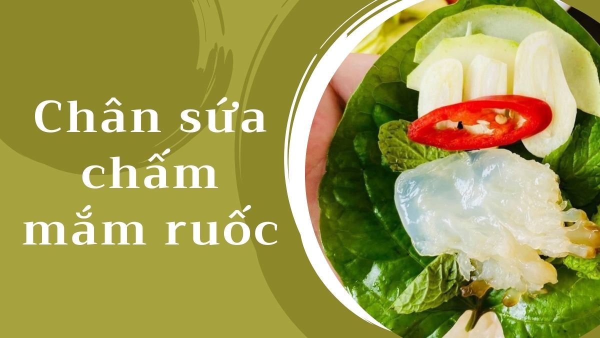 Chân sứa